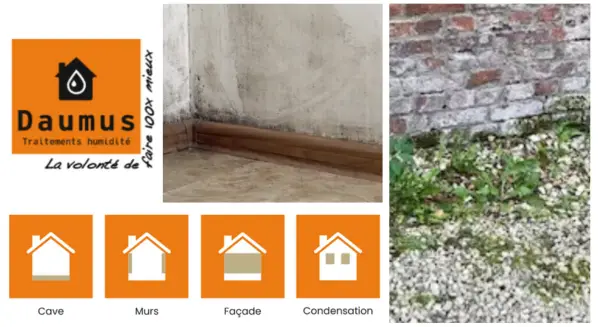 Daumus – dites STOP à l’humidité !